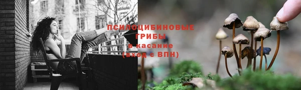кокаин премиум Алексеевка