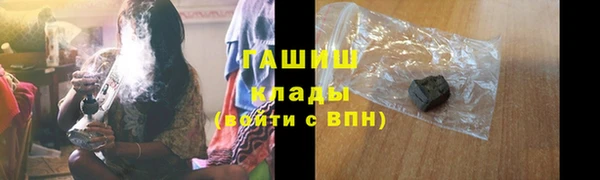 хмурый Алексин