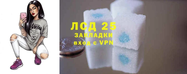 хмурый Алексин