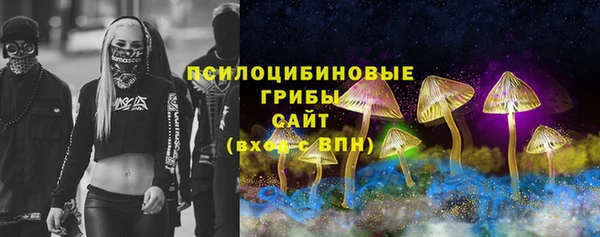 хмурый Алексин