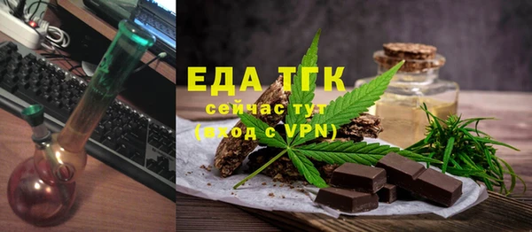 хмурый Алексин