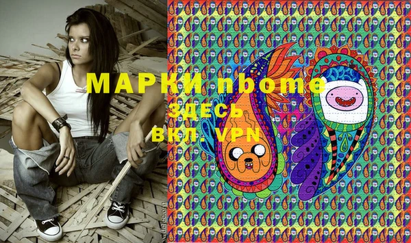 хмурый Алексин