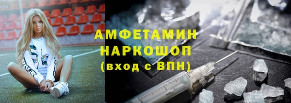 хмурый Алексин