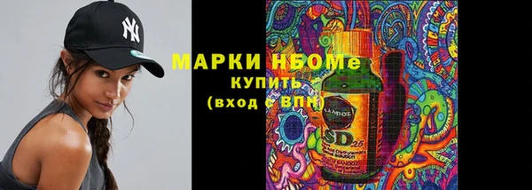 хмурый Алексин