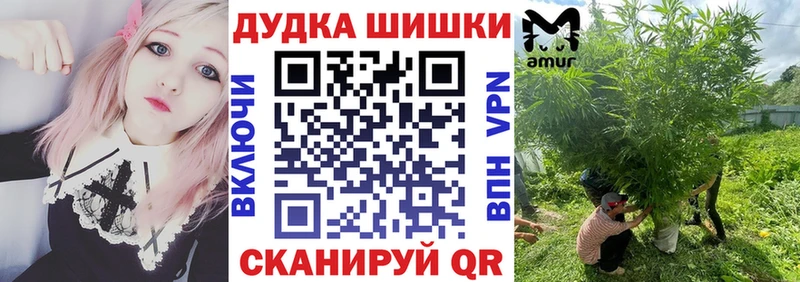 Бошки Шишки план  продажа наркотиков  Кириллов 